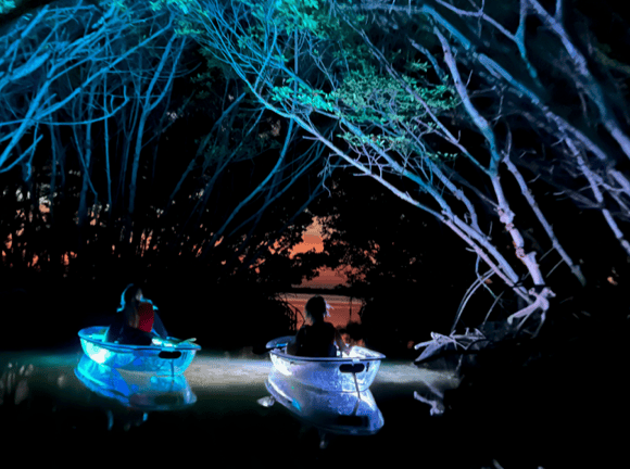 Two people in illuminated kayaks under tree canopy at dusk.