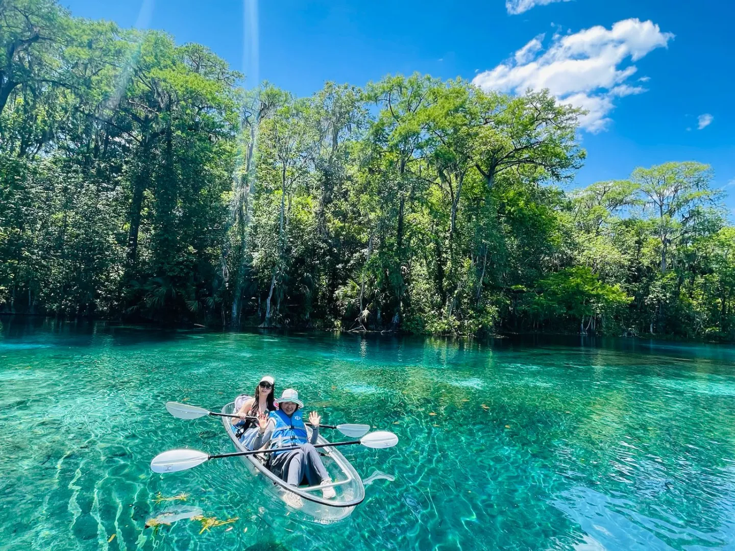 Two people in a transparent kayak on clear blue water with trees and clear sky.