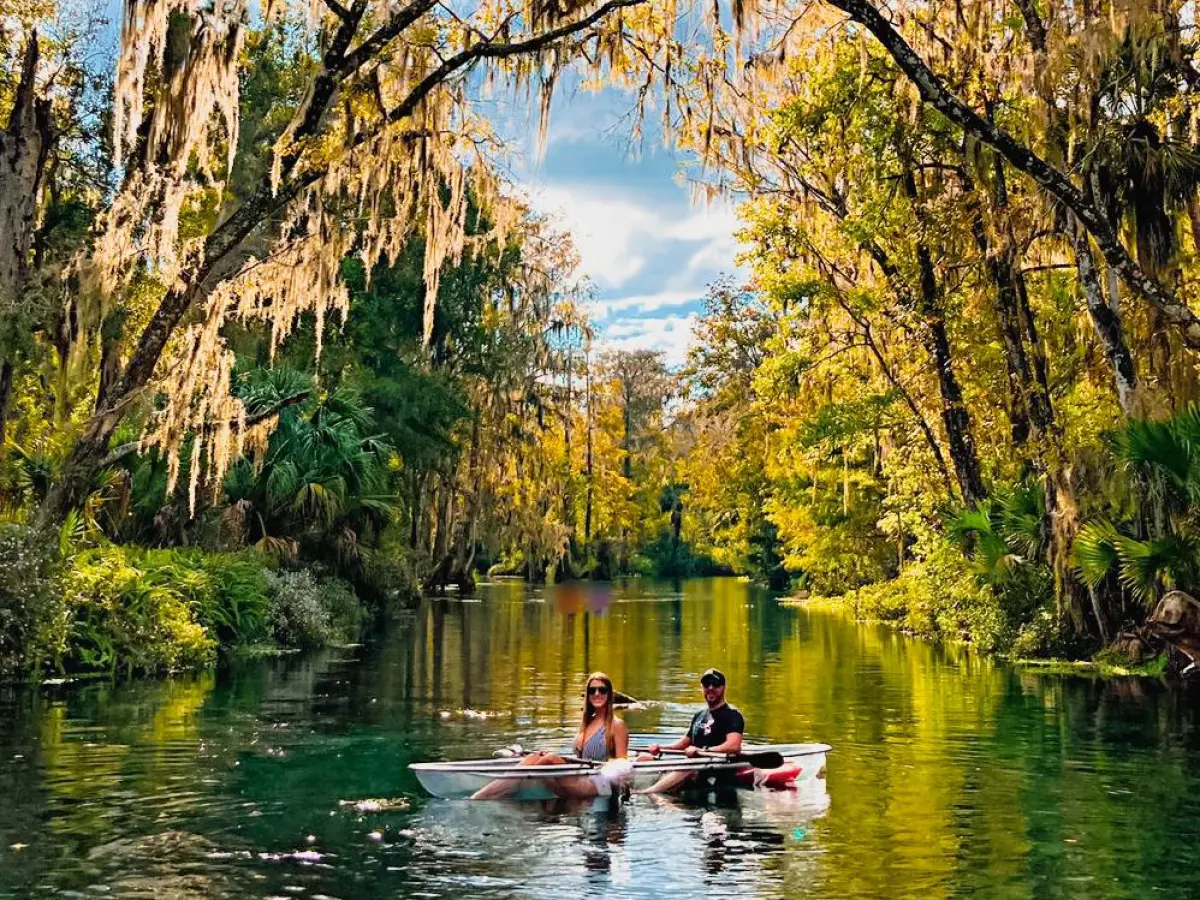 Two people kayaking on a tranquil, tree-lined river.