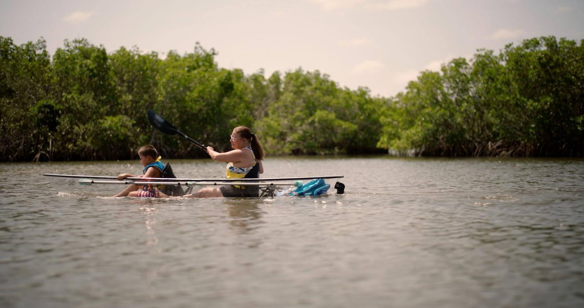 Two people kayaking on calm water surrounded by mangroves.