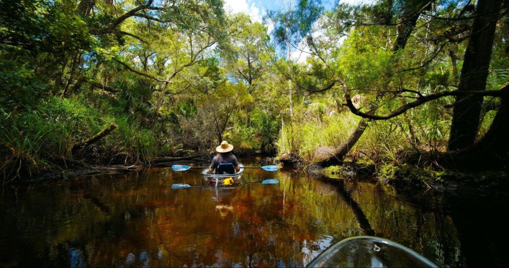 Person kayaking on a narrow, tree-lined river.