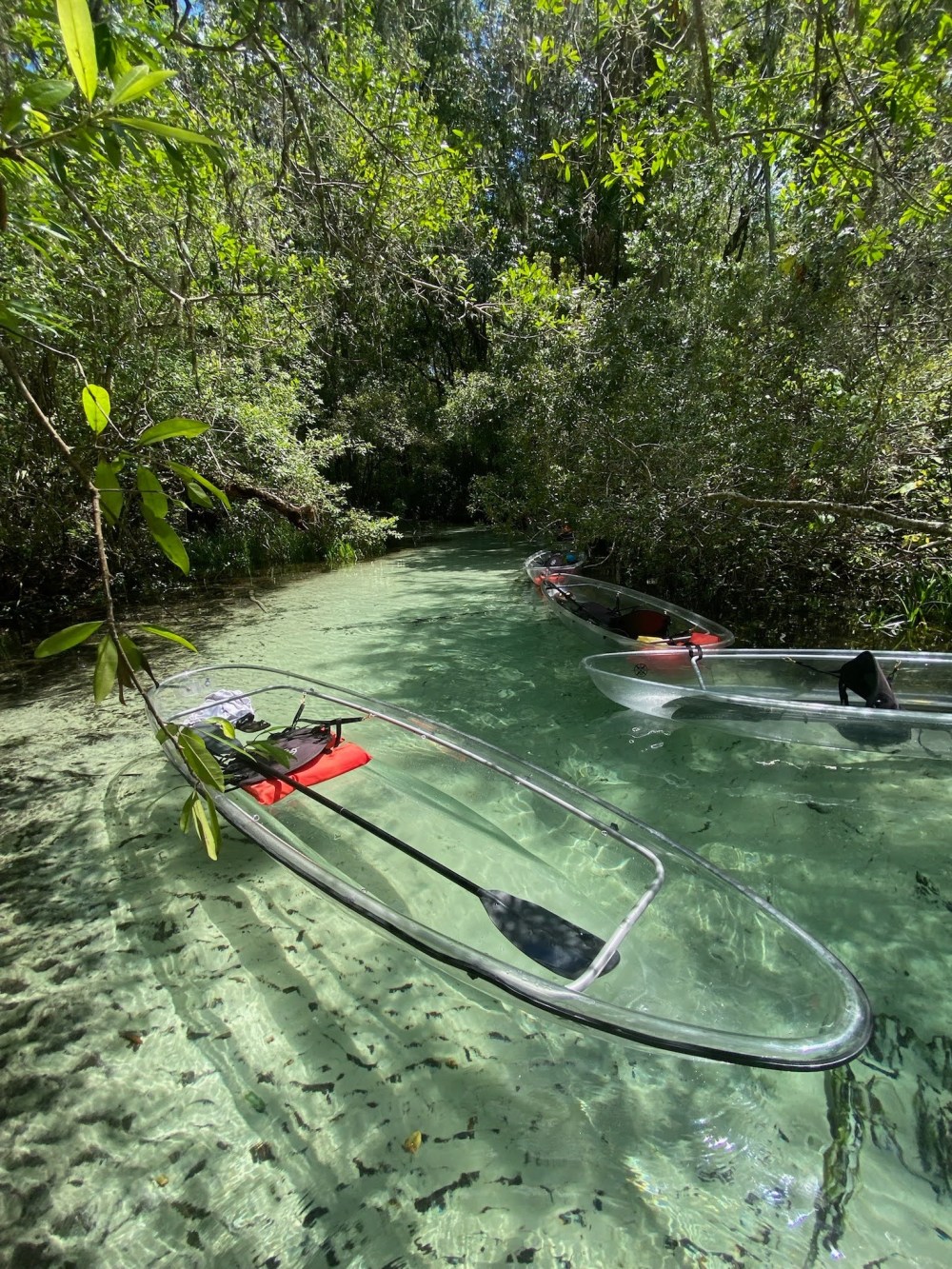 Clear kayaks on a narrow, tree-lined waterway.