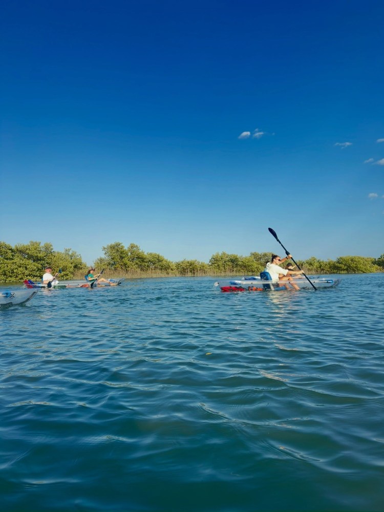 People kayaking on a calm lake under a clear blue sky.