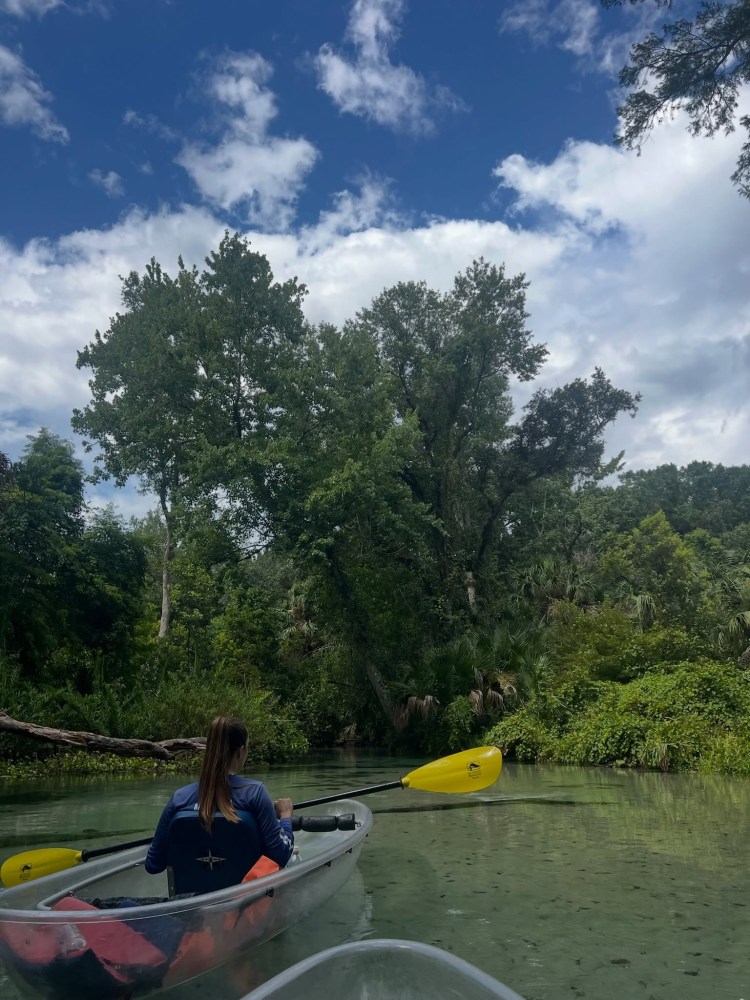Person kayaking on a serene river surrounded by lush greenery.