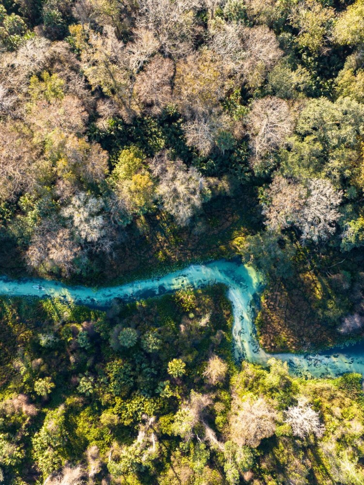 Aerial view of a winding turquoise river through a dense forest.