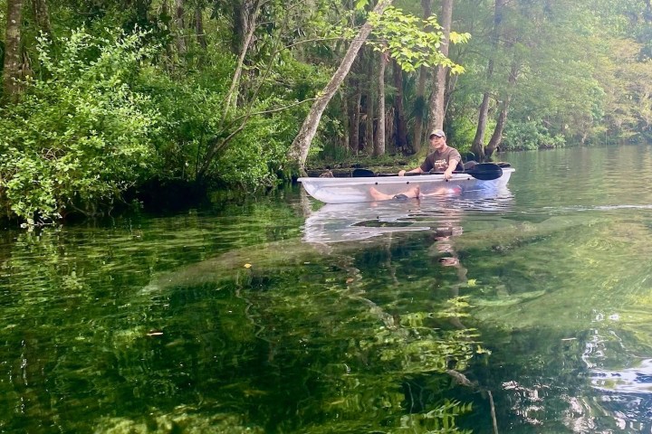 Person kayaking on a clear river surrounded by lush green trees.