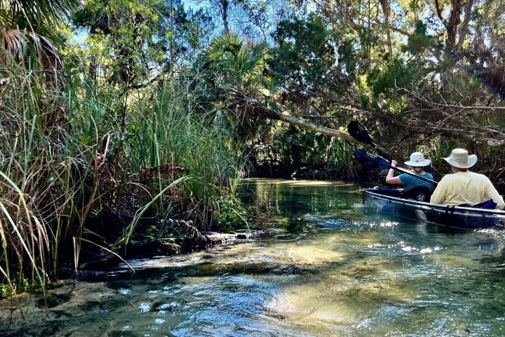 Two people kayaking on a clear river surrounded by lush trees.