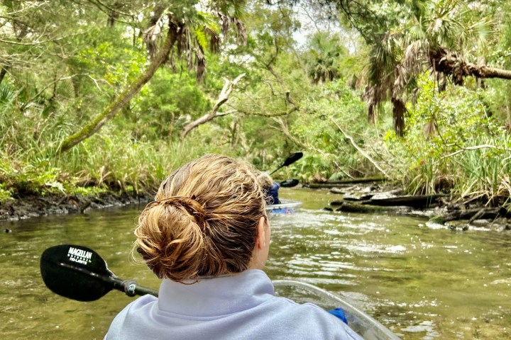 Person kayaking on a narrow, tree-lined waterway.