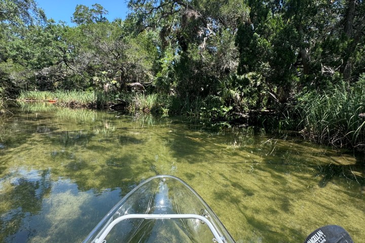 Clear kayak on calm river surrounded by lush greenery and trees.