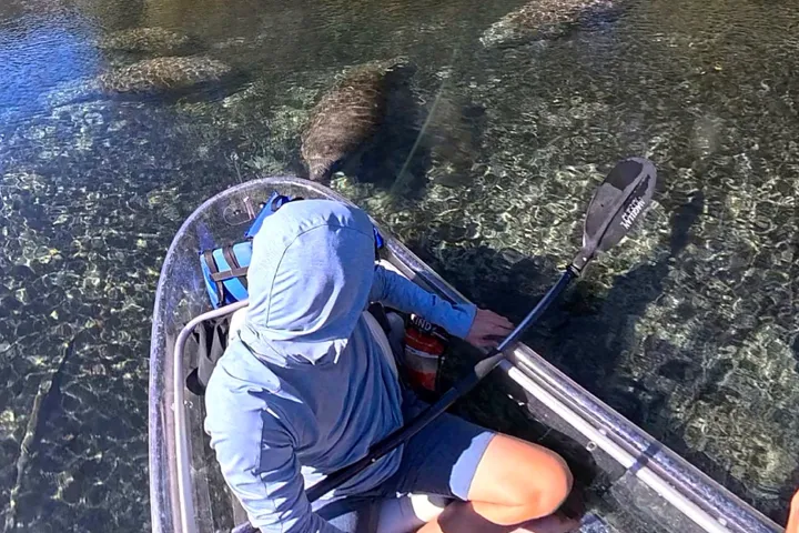 Person in clear kayak on a river with manatees visible in clear water.