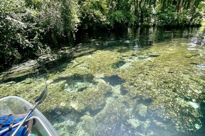 Clear water river with a kayak near a lush, green forest.