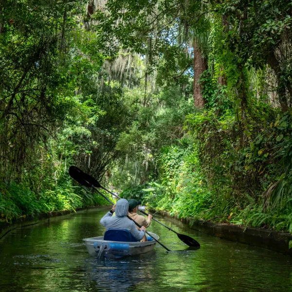 Winter Park Clear Kayak Tour