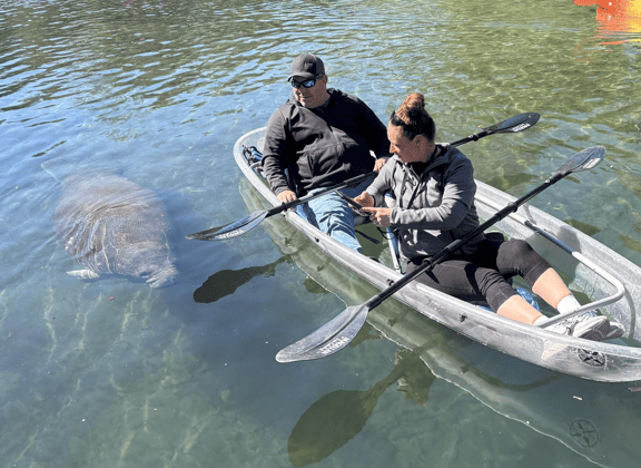 Two people in a kayak paddle near a manatee in clear water.