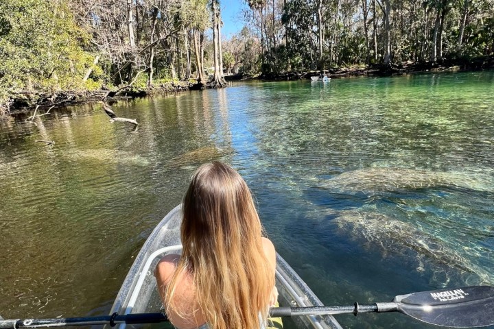 Person canoeing on a clear river surrounded by trees on a sunny day.